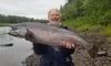 With several years of nearly no sport harvest, should ADF&amp;G list Susitna River king salmon as a Stock of Yield Concern drainage-wide? Courtesy of Andy Couch