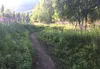 A portion of the Government Peak Recreation Area singletrack is seen is this Frontiersman file photo. Valley residents interested in learning more about taking care of the region’s trail syst