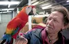 Joe Taggart holds a scarlet macaw during set up of Brad’s World of Reptiles for the Alaska State Fair Monday in the Alaska Communications Kid Zone Building. The fair stats Thursday, gates ope