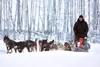 Army veteran Joshua Robbins is set to make his rookie run in the 2024 Iditarod, kicking off March 2. His kennel, Outreach22, provides respite and interaction for fellow veterans as he advocat