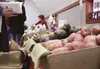 Bushes Bunches produce is now available at the new Depot Farm Market, open every Monday from noon to 6 p.m. in the Palmer Community Center/Depot. The Bushes Bunches stand at 2605 N. Robin Lan