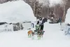 Ryan Redington placed seventh in Iditarod 49. David Poyzer/iditarod