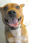 Hi there!