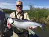 The Northern District commercial set net fishery caught 270 coho on Monday July 8, so a few coho or “silvers” should be available in Mat-Su Valley sport fisheries this weekend. Courtesy of An