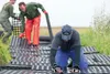 Volunteer Terry Holm helps secure Geoblocks in place at the Cottonwood Creek trailhead in the Palmer Hay Flats State Game Refuge Saturday afternoon. The group of 15 volunteers installed 374 f