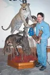 Dan Williams proudly shows off his award-winning mount of a
leopard and baboon. Williams won a South African safari for his
efforts. CASEY RESSLER/Frontiersman