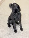 Needs a home