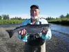 Bruce Knowles, a former fishing guide, has been name a 'King Maker' by Great Land Trust for his efforts to conserve salmon habitat. Courtesy Kim Sollien