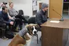 Tristan Hampson speaks during a Palmer City Council meeting Tuesday. Hampson is a K9 handler for Leo, a Saint Bernard, a search and rescue dog for MATSAR. Tim Rockey/Frontiersman