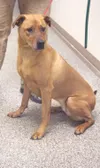 Needs a best friend