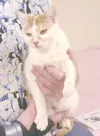 A friend for life