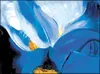 Clandestine Iris by Lou Ann Person