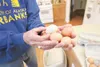 Cooperative Extension Service agriculture and horticulture agent Steve Brown holds eggs laid by his hens in this photo from a past Chicken University class. Frontiersman file photo