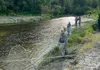 Residents dipnet on Fish Creek July 26.  Courtesy of Heather Milstead