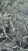 Spring cleanup