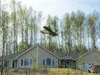 Edward T. Merren of Wasilla sits very still in his Taylorcraft plane after it landed in the tree tops when a crosswind caught it on take off May 4, 2014 from a grass runway in Meadow Lakes. H