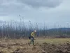 A wild land firefighter works in the area of the Clear Fire recently. Courtesy of akfireinfo.com