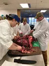 Palmer High School students work to break down a moose quarter during a culinary arts class. Courtesy photo