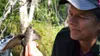 Biologist Julie Hagelin holds an olive-sided flycatcher that helped her with a recent study. Alaska Department of Fish and Game photo.