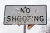 A ‘No Shooting’ sign riddled with bullet holes just outside the turnoff for the Goose Bay Wildlife Refuge, near the similarly afflicted Goose Bay Airport. A legacy of lead shooting and recent