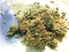 Marijuana Frontiersman illustration