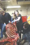 Teacher Ryan Judd makes the final cuts to remove the rib cage as several students peel the ribs away and patiently hold a game bag at the ready. Immersive experiences like these stick with th