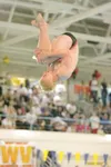 ROBERT DeBERRY/Frontiersman Wasilla senior David Kennedy dives
toward the water during the 2008 ASAA/First National Bank State
Swimming and Diving Championships at Bartlett High School in
Anc