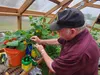 John Moore pollinates his crops inside a WASI greenhouse. Jacob Mann/Frontiersman