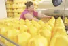 Matanuska Creamery employee Erni Herschberger loads gallon milk
jugs onto a conveyor in this 2009 file photo. (ROBERT
DeBERRY/Frontiersman)