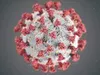 COVID-19 cases have increased recently throughout Alaska, DHSS reports. File photo
