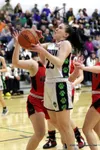 Redington's Lexi Seymore drives to the basket during a win over Houston. Ron Jones/matsusports.net
