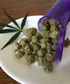 Marijuana. royalty free stock photo 2. Progress. Economy.jpg