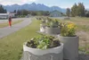 Phase I of Grow Palmer’s edible rail trail along South Valley Way is complete, as seen in this photo taken Friday, July 22. The group was forced to move its edible park from a donated plot ne