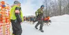 Rohn Buser's dog handlers lead his team to the 2026 Iditarod start line in Willow on Sunday. J. David McChesney/Frontiersman