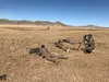 The Mongolian mobile training team from the 1st Special Forces Group conducts long-range marksmanship training. 1st SF Group