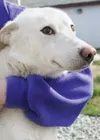 Ready for anything