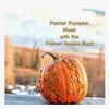 Palmer Buzz