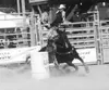 Christian McCormick rounds the barrels on her way to a
first-place finish during the Whitehorse rodeo in July. Submitted
photo.