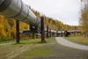 The Trans-Alaska Pipeline is seen on Sept. 19 in Fairbanks. This portion of the pipeline, 450 miles south of Prudhoe Bay, has been transformed into a visitor pullout. Alaska's heavy dependenc
