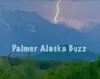 Palmer Buzz