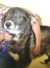 Needs a home