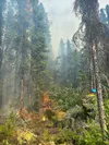 Mat-Su firefighter David Hedgepeth during the initial attack of the Montana Creek Fire Kevin Lankford/DOF
