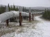 The trans-Alaska Pipeline Courtesy photo