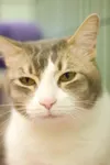 Who woke me up?