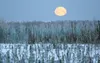 FULL MOON SETTING