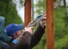 Tyson Reid from the Petersburg Devils Thumb Shooters pulls the trigger on a "bird" in station 7 on Thursday, June 5. Reid would go on to place 3rd in Junior Varsity for the preliminary round 