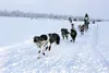 Alaska Excursion 120 overall winner Ryan Redington leaves the starting line during the first day competition Saturday at Happy Trails Kennel in Big Lake. This is the fourth year for the race.