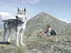 Joy Kadel and Summit the husky take a break on a ridge above
Bear Mountain before continuing to the top of Mount Eklutna in the
distance. Photo by Steve Kadel/Frontiersman staff