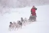 Frontiersman file photo For the second time in three years, poor
snow conditions have prompted the cancellation of the Sheep
Mountain 150.
