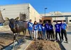 The International Baccalaureate (IB) Diploma Program at Palmer High School, a two-year academic program that offers students the opportunity to obtain an international/national diploma in add